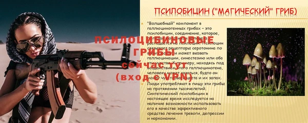 гидра Алексеевка