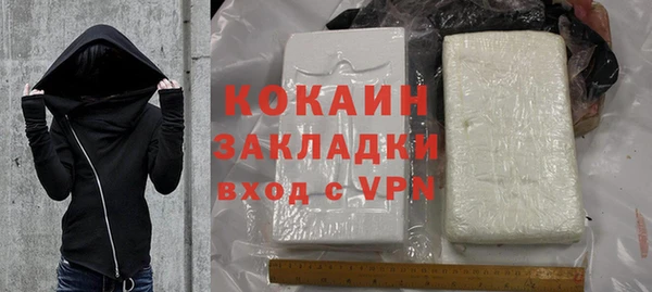 стаф Алзамай