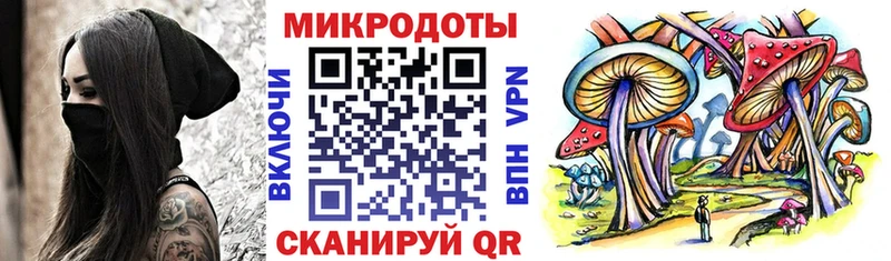 как найти закладки  Казань  blacksprut сайт  Псилоцибиновые грибы Psilocybine cubensis 