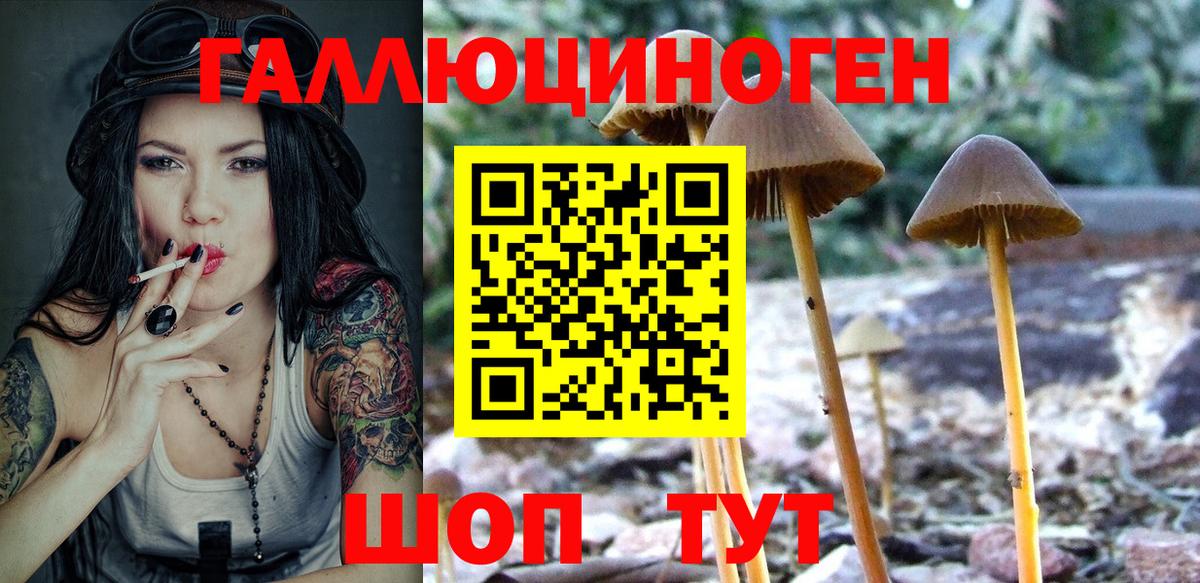 Казань  Галлюциногенные грибы мицелий  Вход с VPN 